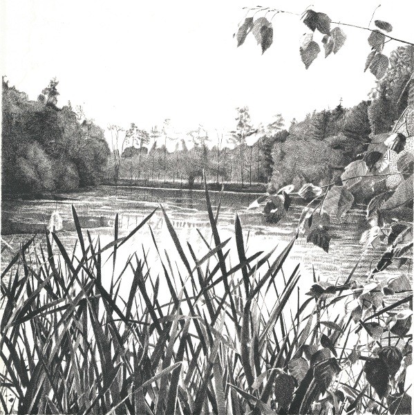 Pond<i class='fa-solid fa-minus'></i>
